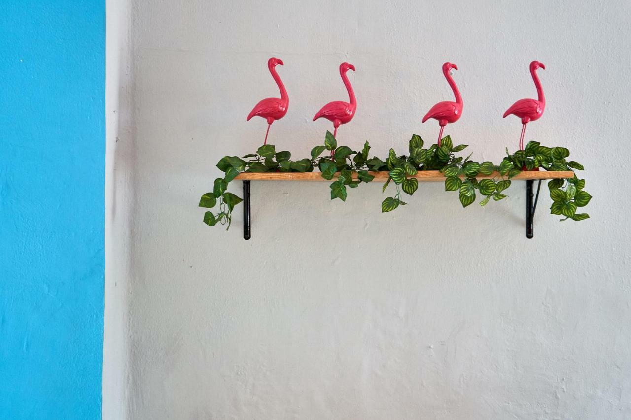 Hostal Americana グアダラハラ エクステリア 写真